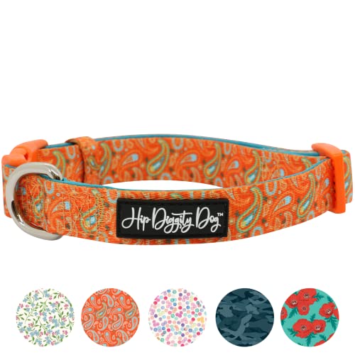 Hip Diggity Dog - Gepolstertes Komfort-Hundehalsband für kleine und große Haustiere - Luxus für Mädchen und Jungen (Paisley, M) von HIP DIGGITY DOG