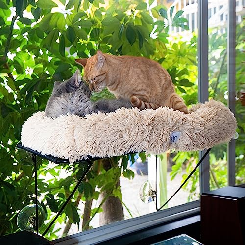 HIPCAT Katzen-Fensterstange mit gratis Ballspielzeug – Katzenregal – Bequeme Katzenhängematte – Katzenbett – extra Starke Saugkraft mit schnurlosem stabilem Metallrahmen – hält bis zu 18 kg – (Beige) von HIPCAT