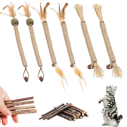 HIQE-FL 6Pcs Katzenspielzeug Katzenminze Sticks,15Pcs Katzen Zahnpflege Spielzeug,Katzenminze Sticks Für Katzen,Matatabi Katzen Kauhölzer,Cat Chewing Toy,Katzenminze Sticks Bio von HIQE-FL