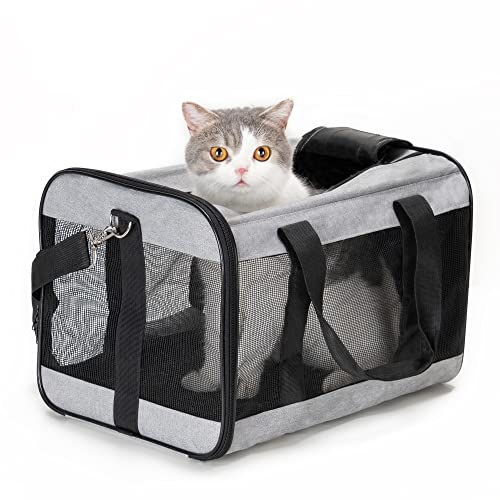 HITSLAM hundebox Faltbar Hundetransportbox Katzentransportbox Katzenbox Transportbox katzentasche für Hund, Katzen, Airline Zugelassen, Reisefreundliche Transporttasche (M) von HITSLAM