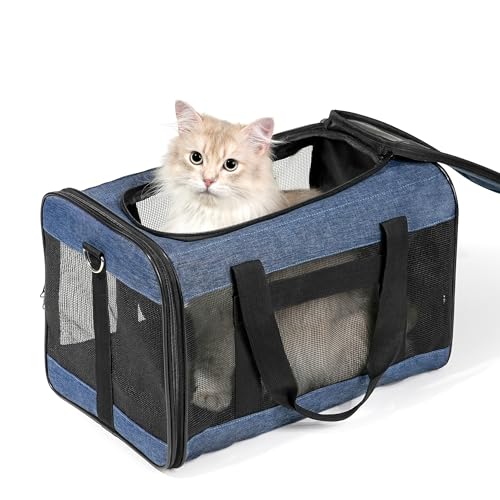 HITSLAM hundebox Faltbar Hundetransportbox Katzentransportbox Katzenbox Transportbox katzentasche für Hund, Katzen, Airline Zugelassen, Reisefreundliche Transporttasche (M) von HITSLAM