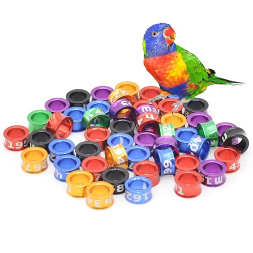 HJHLYJQBF Offen/geschlossener Vogel Ring Taube Knöchel Geflügelversorgung 50/100 Stücke Hühnbeine Tauben Fußgürtel Taube Fuß Stiefring Ring Haustier Beine Kette Aluminium Aluminium HJHLYJQBF Offen/geschlossener Vogel Ring Taube Knöchel Geflügelversorgung 50/100 Stücke Hühnbeine Tauben Fußgürtel Taube Fuß Stiefring Ring Haustier Beine Kette Aluminium Aluminium von HJHLYJQBF