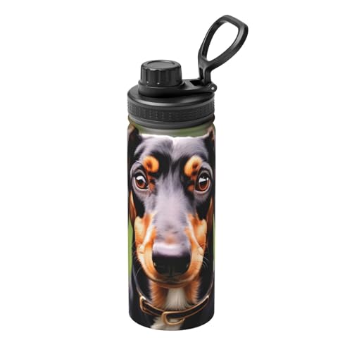 HJLUUFT Dackel Weiner Pet Dogs Sport-isolierte Edelstahl-Wasserflasche, 530 ml, perfekt für Outdoor-Sport, entworfen für bequeme Einhandbedienung von HJLUUFT