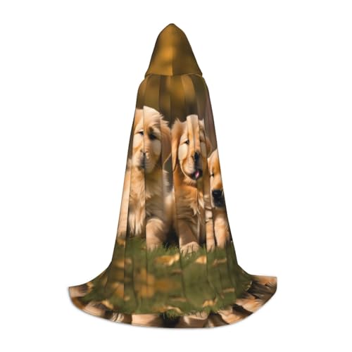 HJLUUFT Golden Retriever Halloween-Kostüm für Hunde, Welpen, Vampir, Hexenkostüm und Cosplay-Kostüm, Unisex, festliches Geschenk von HJLUUFT