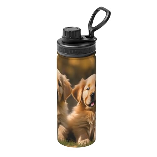 HJLUUFT Golden Retriever Isolierte Wasserflasche für Hunde, Welpen, Haustiere, 530 ml, Edelstahl-Isolierung, ideal für Outdoor-Sportarten und Pendeln von HJLUUFT