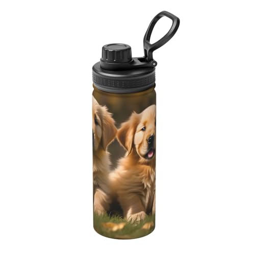 HJLUUFT Golden Retriever isolierte Edelstahl-Wasserflasche, 530 ml, perfekt für Outdoor-Sport, entworfen für bequeme Einhandbedienung von HJLUUFT