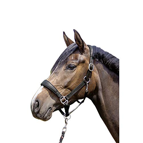 HKM 12260 Mira Halfter & Stricke 9100 schwarz Warmblut , von HKM