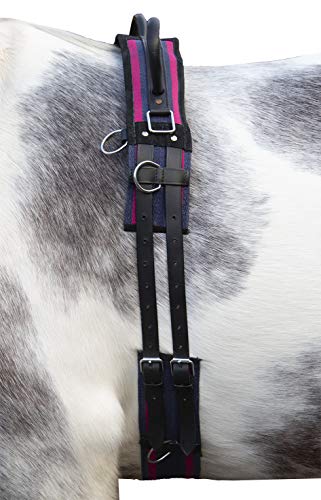 HKM Canvas Longierbedarf 8296 Navy/Passion pink Pony von HKM