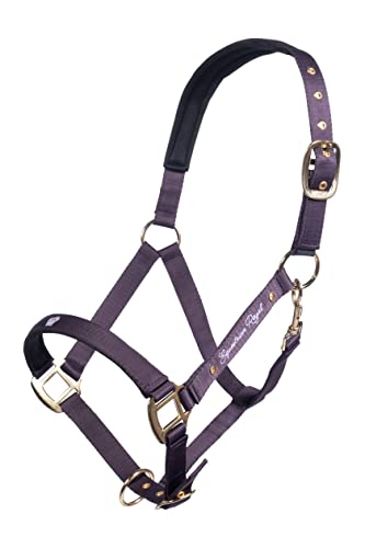 HKM Lavender Bay Halfter 3300 Dunkellila Warmblut von HKM