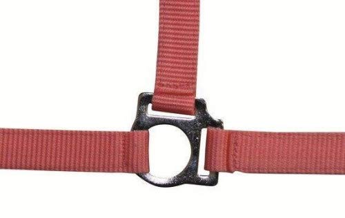 HKM Stars Economy Halfter Rosa Pony HKM Stars Economy Halfter Rosa Pony von HKM