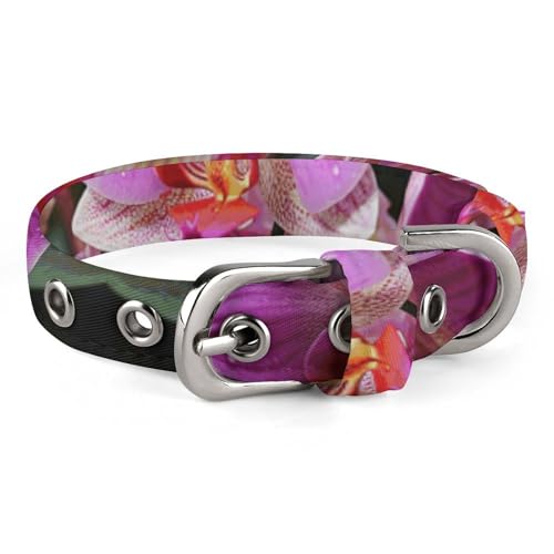 Hundehalsband, bedruckt mit Orchideen, verstellbares Haustierhalsband, geeignet für kleine und mittelgroße Hunde, Katzen von HKMNTGD