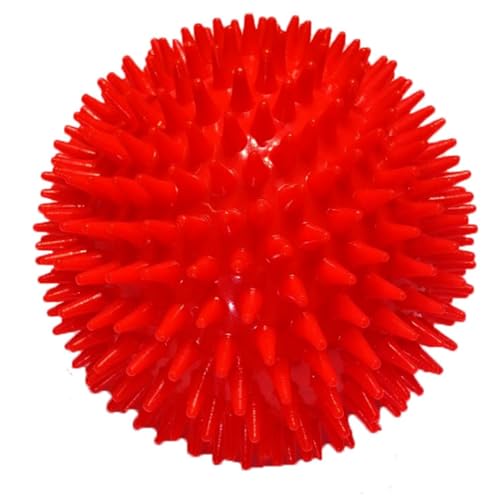 2pcs Haustier Interaktiver Dornenball Hund Im Freien Spielzeug Backenzahn Beißen Resistente Lautäußerung Haustier Hund Training Spielzeugball 11cm von HKSOPC