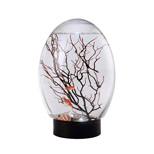 Mini-Aquarium, Desktop-Aquarium, 19 cm Ecosphere geschlossenes Aquarien-Ökosystem-Aquarium mit LED-Drehsockel, autarkes Ökosystem-Desktop-Aquarium for Heimbüro-Dekoration (schwarz)/1405 ( Color : Blac von HKSOPC