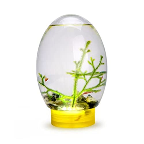 Mini-Aquarium, Desktop-Aquarium, 19 cm Ecosphere geschlossenes Aquarien-Ökosystem-Aquarium mit LED-Drehsockel, autarkes Ökosystem-Desktop-Aquarium for Heimbüro-Dekoration (schwarz)/1405 ( Color : Yell von HKSOPC