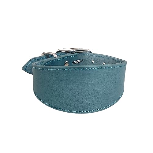 HLBEST Leathers Greyhounds Kragen Weiche Polster Breite Kragen Für Whippets Lurchers Salukis Große Rassen Haustierzubehör Whippets Surcher Sightheunds HLBEST Leathers Greyhounds Kragen Weiche Polster Breite Kragen Für Whippets Lurchers Salukis Große Rassen Haustierzubehör Whippets Surcher Sightheunds von HLBEST