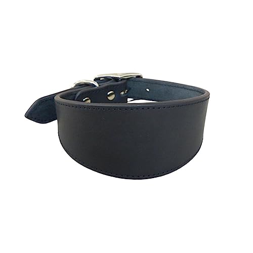 HLBEST Leathers Greyhounds Kragen Weiche Polster Breite Kragen Für Whippets Lurchers Salukis Große Rassen Haustierzubehör Whippets Surcher Sightheunds HLBEST Leathers Greyhounds Kragen Weiche Polster Breite Kragen Für Whippets Lurchers Salukis Große Rassen Haustierzubehör Whippets Surcher Sightheunds von HLBEST