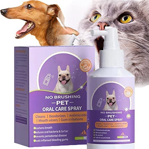 Dentalspray für Hunde Katzen Zahnstein und Maulgeruch, Pet Clean Teeth Cleaning Spray, Hund Zahnpflege Katze, Zahnspray zur Zahnreinigung, frischer Atem, Dentalspray für Hunde & Katzen (1 Stücke) von HLJS