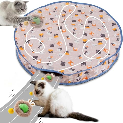 Interactive katzen spielzeug, Katzen Spielteppich, Katzenspielzeug Selbstbeschäftigung Matte Mit Ball, 2 in 1 Simuliertes Jagd Cat Toy, Katzenball Spielmatte für Stimuliert den Jagdinstinkt (Stil 4) von HLMNAKE