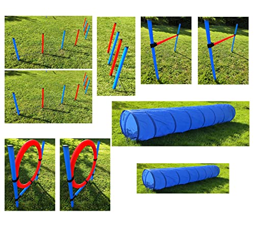 Agility Parcours Set Gr. XXXL Hundetraining 12 Elemente Dog activity Hürde Hundesport 4 PopUp 3m 2m Tunnel Sprungring Reifen 16 Slalomstangen Trainingsstange Sprungstange Hindernisparcours Hundetunnel von HMH