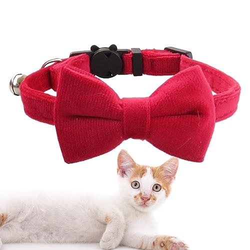 HMLTD Haustierhalsband mit Glocke | Nicht reizendes Haustierhalsband für Hunde und Katzen,Haustierbedarf für Outdoor-Aktivitäten für Fotografie, Hochzeit, Zuhause, Spazierengehen, Reisen von HMLTD