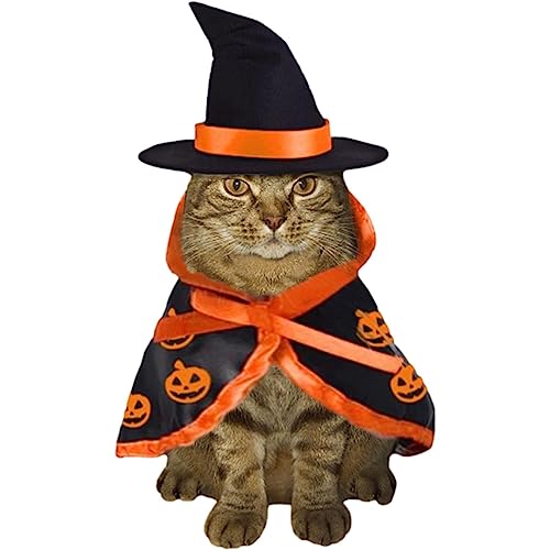 HMLTD Katzen-Halloween-Kostüme | Cosplay-Kostü für Kätzchen,Hundekleidung in Umhangform mit Fledermausmuster. Verleihen Sie Halloween-Atmosphäre mit Kürbismuster für Kaninchen, Hunde und Katzen von HMLTD