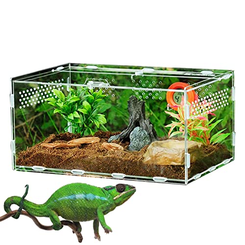 HMLTD Reptilienzuchtbox | Reptilien-Futterbehälter Aquarium Aufzuchtbecken - Vogelspinnen-Lebensraumbox aus Acryl, groß, für Kleintiere, Insekten, Heimbüro von HMLTD