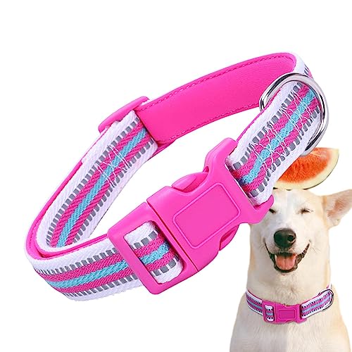 Reflektierendes Hundehalsband | Reflektierendes Hundehalsband mit Sicherheitsschnalle,Buntes und bequemes Hundehalsband für kleine, mittelgroße Haustiere und Katzen Hmltd von HMLTD