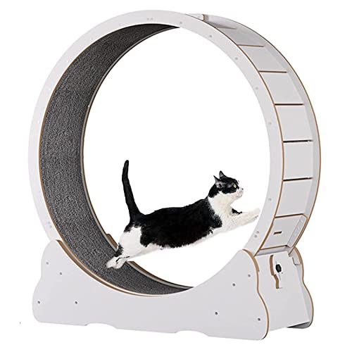 Großes Katzenlaufrad mit Sicherungsstift, Katzenlaufband für Indoor-Katzen, leises Laufrad, kein Lücken-Design, Innendurchmesser 100 cm, Weiß von HMWJD