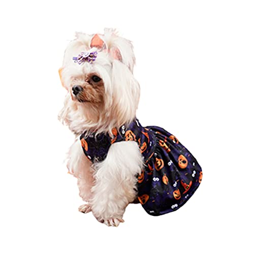 Hunde-Halloween-Kleid, Kätzchen-Polyester-Kürbismuster-Rock, Haustier-Schädel-Druck-Kostüme, lustige Welpen-Kleidung, für kleine Hunde und Katzen Cosplay (M,Pumpkin) von HNDB