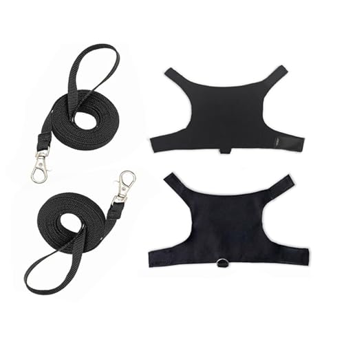 HNsdsvcd Kleines Tiergeschirr Mit Leine Für Bartagamen Bedrucktes Reptiliengeschirr Weste Outdoor Walking Trainingskleidung 2Set von HNsdsvcd