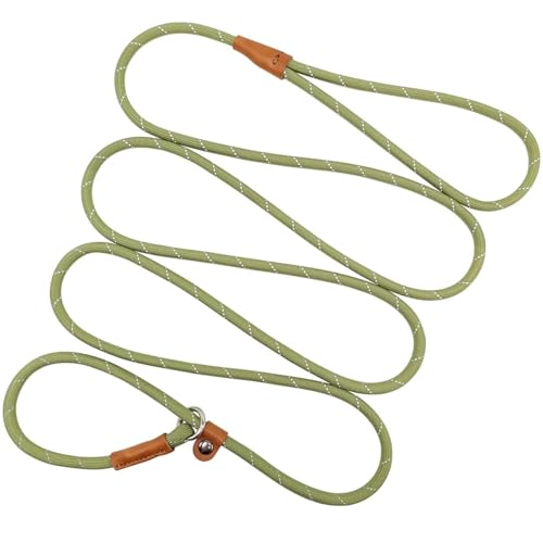 Hoanan Retrieverleine Hundeleine, Haustier-Trainingsleine, reflektierend, kein Ziehen, Würgeleine, 0,6 cm x 2,1 m, für kleine und mittelgroße Rassen, Grün von HOANAN