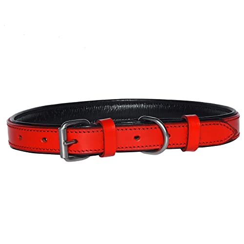 HOGACA geöltes Echt-Leder-Hunde-Halsband 786-03.1, 1,8 x 50cm / Löcher 37-45cm +/- 0,5cm, in rot von HOGACA