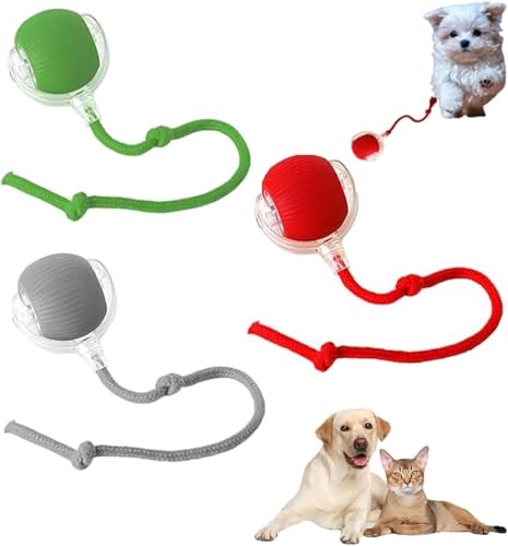 HOIDOKLY 2024 Neu Interaktives Katzenball Spielzeug - Katzenspielzeug Elektrisch mit USB Aufladbar, DREI Arbeitsmodi, 360° Smart Automatic Rolling Pet Ball (3PCS) von HOIDOKLY