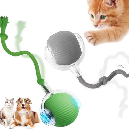 HOIDOKLY 2025 Neu Interaktives Katzenballspielzeug, Haustiere Spielzeug, Hundeballspielzeug mit USB Aufladbar, DREI Arbeitsmodi, 360° drehbar Smart Ball für Katzen und Hunde (Grün+Grau) von HOIDOKLY