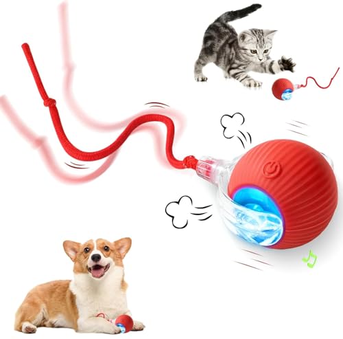 HOIDOKLY 2025 Neu Interaktives Katzenballspielzeug, Haustiere Spielzeug, Hundeballspielzeug mit USB Aufladbar, DREI Arbeitsmodi, 360° drehbar Smart Ball für Katzen und Hunde (Rot) von HOIDOKLY