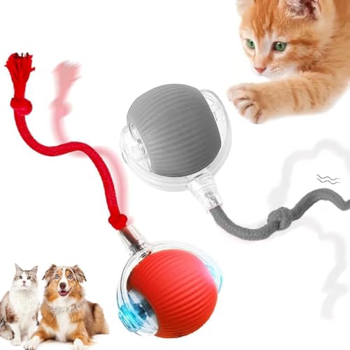 HOIDOKLY 2025 Neu Interaktives Katzenballspielzeug, Haustiere Spielzeug, Hundeballspielzeug mit USB Aufladbar, DREI Arbeitsmodi, 360° drehbar Smart Ball für Katzen und Hunde (Rot+Grau) von HOIDOKLY