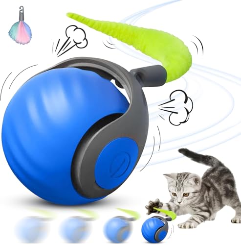 HOIDOKLY Speedy Tail 2.0, 2025 Neuer Speedy Tail Katzenspielzeug, König des interaktiven Katzenspielzeugballs, Automatisches Katzenspielzeug, lindert Ängste (Blau) von HOIDOKLY