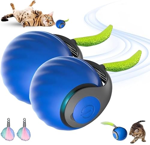 HOIDOKLY Speedy Tail 2.0, 2025 Neuer Speedy Tail Katzenspielzeug, König des interaktiven Katzenspielzeugballs, Automatisches Katzenspielzeug, lindert Ängste (Blau-2PCS) von HOIDOKLY