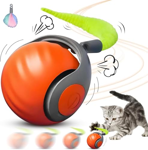 HOIDOKLY Speedy Tail 2.0, 2025 Neuer Speedy Tail Katzenspielzeug, König des interaktiven Katzenspielzeugballs, Automatisches Katzenspielzeug, lindert Ängste (Orange) von HOIDOKLY