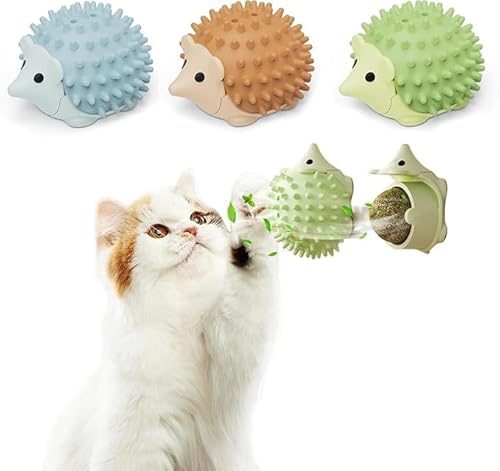 HOIDOKLY 3PCS Katzenminze Balls, Katzenminze Wand Ball Spielzeug, Katzenminze Wandroller für Katzenlecken, Zahnreinigung Dentales essbares Kätzchenspielzeug mit Aufbewahrungsdeckel von HOIDOKLY