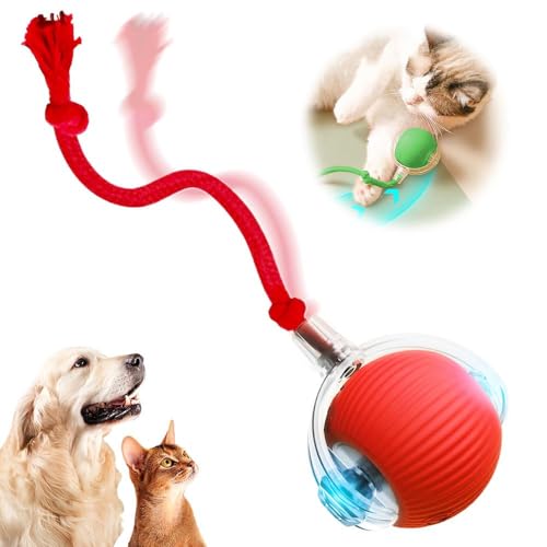 HOIDOKLY Interaktives Katzenballspielzeug, Interaktives Hundeball, Automatisches Katzenballspielzeug mit Schnurimitationsmaus, Rollendes Katzenballspielzeug, Interactive Rolling Dog Ball (Rot) von HOIDOKLY