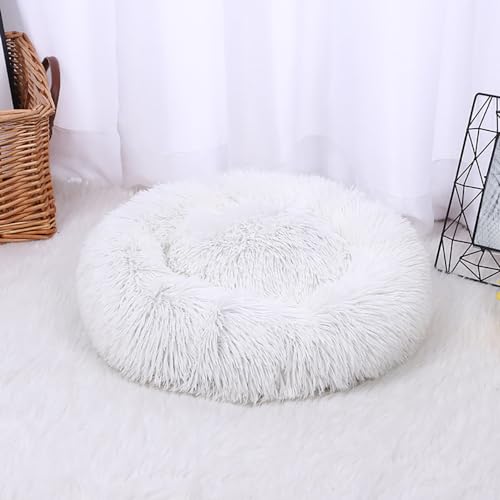 HOJKOUD Hundebett，hundekörbchen，katzenbett,waschbares hundebett,Flauschiges hundebett für große, mittelgroße & kleine Hunde. (60CM, weiß) von HOJKOUD