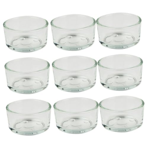 HOLIDYOYO 9stücke Teiliges Reptilien Trinkschale Langlebig Und Für Schildkröten Eidechsen Und Andere Haustiere Fütterung Und Wasserversorgung HOLIDYOYO 9stücke Teiliges Reptilien Trinkschale Langlebig Und Für Schildkröten Eidechsen Und Andere Haustiere Fütterung Und Wasserversorgung von HOLIDYOYO