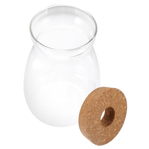 HOLIDYOYO Terrarium Glasbehälter mit Deckel Großes Ökosystem Terrarium für Pflanzen Dekoratives Glasgefäß für Hydrokultur und Innendekoration für Wohnzimmer Büro HOLIDYOYO Terrarium Glasbehälter mit Deckel Großes Ökosystem Terrarium für Pflanzen Dekoratives Glasgefäß für Hydrokultur und Innendekoration für Wohnzimmer Büro von HOLIDYOYO