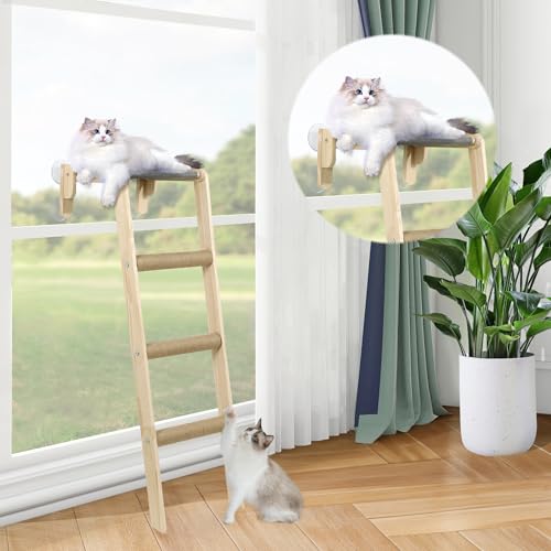 HOMBYS Katzenfensterstange mit Kletterstufen & Sisal Kratzbaum Treppe für Indoor Katzen Blick Out Fenster, Kabellose Katzenhängematte Einfach zu montieren, mit 4 Saugnäpfen von HOMBYS