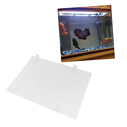 HOMFAMINI Acryl Aquarium Trennwand Mit 4 Clips 30x30 cm Kreatives Frittier Isolierbrett Schallwand Für Heimtierbedarf Transparent von HOMFAMINI