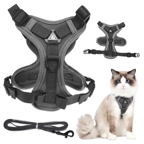 HOMFAMINI Weste-Leine für Katzen Hundewelpenweste Mesh-gepolsterte Welpenweste Katzenleine Kleine Hundegeschirr Hundeleine Seil kleine Hundeleinen zum Spazierengehen Polyester Grey von HOMFAMINI