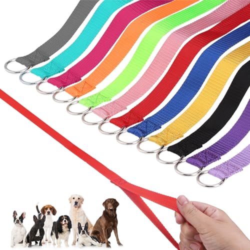 HOMIMP Retrieverleine, Hundeleine, 1,8 m, 48 Stück, für kleine, mittelgroße und große Hunde, Welpen, Tierrettung, Fellpflege – strapazierfähiges, starkes Nylon, 1,8 m lang für Unterschlupf, Tierarzt, von HOMIMP