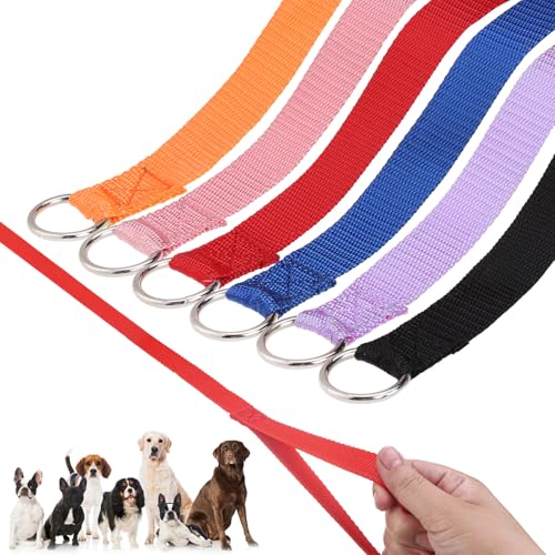 HOMIMP Retrieverleine, Hundeleine für kleine, mittelgroße und große Hunde, Welpen, Tierrettung, Fellpflege, strapazierfähig, starkes Nylon, 1,8 m lang, für Unterschlupf, Tierarzt, Training, 6 Stück von HOMIMP