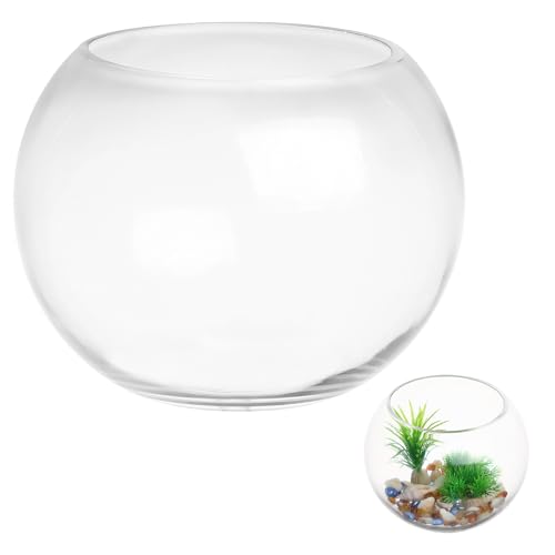 Vorratsbehälter Glas-Fischglas Blase Goldfischglas Rundes Glas Terrarium Blumenvase Hydrokultur-Pflanzgefäß Aquarium Bonbonglas Wunschflasche Für Mikrolandschaft 20 cm von HOMSFOU